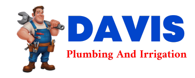 Trusted plumber in DILLARD